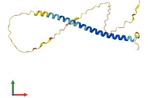 Protein Structure (PS) image for Short Coiled-Coil Protein (SCOC) (AA 1-159) protein (His tag) (ABIN7546031)