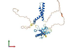 AlphaFold protein structure predicition of Human Recombinant DNTTIP1 Protein, UniprotID Q9H147 (DNTTIP1 Protein (AA 1-329) (His tag))
