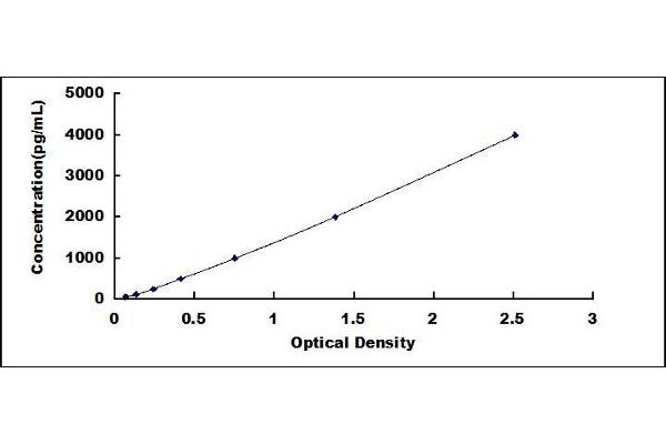 SPP2 ELISA Kit