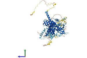 AlphaFold protein structure predicition of Human Recombinant TSR1 Protein, UniprotID Q2NL82