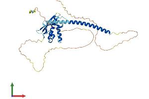 AlphaFold protein structure predicition of Human Recombinant SNX16 Protein, UniprotID P57768 (SNX16 Protein (AA 1-344) (His tag))