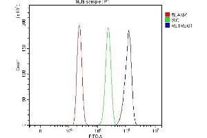 Flow Cytometry analysis of HL-60 cells using anti-RETREG1 antibody (ABIN7599962).