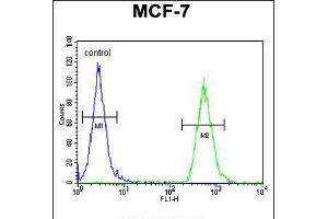 Flow cytometric analysis of MCF-7 cells (right histogram) compared to a negative control cell (left histogram). (TTPAL antibody  (C-Term))