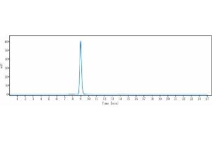 The purity of Anti-MAGE-A4 Reference Antibody (Imc-C103C) is more than 95 % , determined by SEC-HPLC.