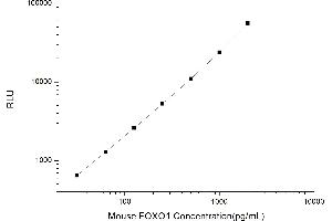 Typical standard curve (FOXO1 CLIA Kit)