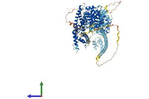 AlphaFold protein structure predicition of Human Recombinant DAAM1 Protein, UniprotID Q9Y4D1