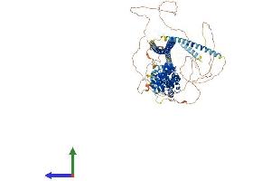 AlphaFold protein structure predicition of Mouse Recombinant Ppfibp2 Protein, UniprotID O35711 (PPFIBP2 Protein (AA 1-882) (His tag))