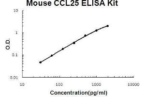 Mouse CCL25/TECK PicoKine ELISA Kit standard curve (CCL25 ELISA Kit)