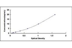 Typical standard curve (Neuroglobin ELISA Kit)