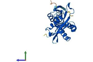 AlphaFold protein structure predicition of Mouse Recombinant Cml5 Protein, UniprotID Q9QXS8 (Camello-Like 5 Protein (CML5) (AA 1-227) (His tag))