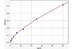 SLC30A1 ELISA Kit
