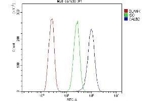 Flow Cytometry analysis of A431 cells using anti-Calretinin/CALB2 antibody (ABIN7602106). (Calretinin antibody  (AA 59-90))