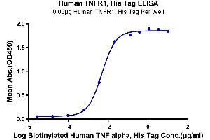 Immobilized Human TNFR1, His Tag at 0.