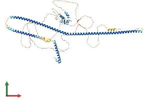 AlphaFold protein structure predicition of Human Recombinant RAB11FIP3 Protein, UniprotID O75154 (RAB11FIP3 Protein (AA 1-756) (His tag))