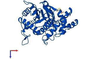 Aldo-Keto Reductase Family 1, Member C21 (AKR1C21) (AA 1-323) protein (His tag)