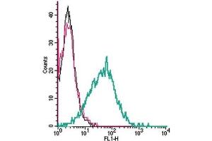 Cell surface detection of P2X1 by indirect flow cytometry in live intact human MEG-01 megakaryocytic leukemia cells:  (black line) Cells. (P2RX1 antibody  (Extracellular))