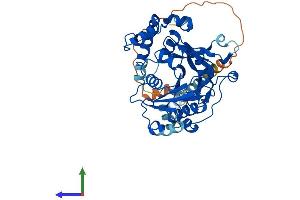 AlphaFold protein structure predicition of Human Recombinant GALNTL5 Protein, UniprotID Q7Z4T8
