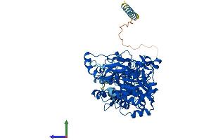 Protein Structure (PS) image for Williams-Beuren Syndrome Chromosome Region 17 (WBSCR17) (AA 1-598) protein (His tag) (ABIN7558304)