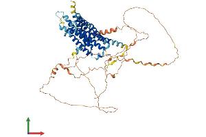Protein Structure (PS) image for G Protein-Coupled Receptor 153 (GPR153) (AA 1-609) protein (His tag) (ABIN7548010)
