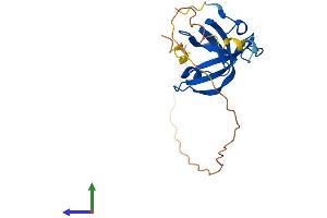 Protein Structure (PS) image for Oligonucleotide/oligosaccharide-Binding Fold Containing 2A (OBFC2A) (AA 1-204) protein (His tag) (ABIN7546257)