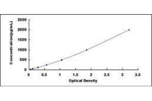 Monoamine Oxidase B (MAOB) ELISA Kit