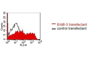 FACS analysis of BOSC23 cells using DY-7G2. (ERBB3 antibody)