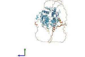 Protein Structure (PS) image for Zinc Finger Protein 630 (ZNF630) (AA 1-657) protein (His tag) (ABIN7545343)