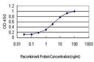 Detection limit for recombinant GST tagged IL20 is approximately 0. (IL-20 antibody  (AA 67-176))