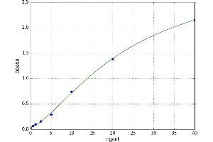 A typical standard curve