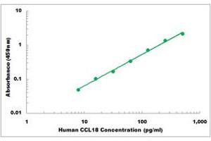 Representative Standard Curve (CCL18 ELISA Kit)