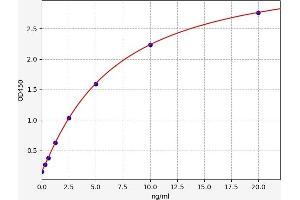 ELISA image for Nuclear Receptor Subfamily 3, Group C, Member 1 (Glucocorticoid Receptor) (NR3C1) ELISA Kit (ABIN6969022)