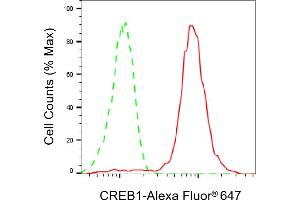 Flow cytometric analysis of CREB1 expression in HepG2 cells using CREB1 antibody (ABIN7797857), 1:2,000). (Recombinant CREB1 antibody)