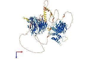 HIRA Protein (AA 1-1017) (His tag)