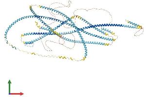 AlphaFold protein structure predicition of Mouse Recombinant Ktn1 Protein, UniprotID Q61595