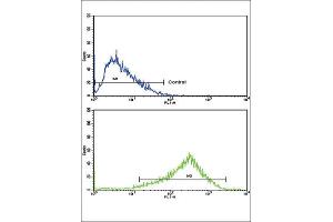 Flow Cytometry (FACS) image for anti-Adaptor-Related Protein Complex 2, alpha 2 Subunit (AP2A2) antibody (ABIN3003799) (AP2A2 antibody)