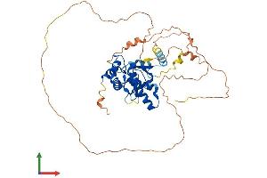 Protein Structure (PS) image for Nuclear Factor I/C (CCAAT-Binding Transcription Factor) (NFIC) (AA 1-439) protein (His tag) (ABIN7556678)