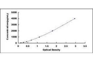 ELISA image for Insulin-Like Growth Factor Binding Protein 7 (IGFBP7) ELISA Kit (ABIN426146)