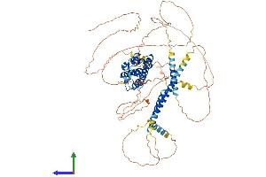 AlphaFold protein structure predicition of Mouse Recombinant Prox1 Protein, UniprotID P48437 (PROX1 Protein (AA 1-737) (His tag))