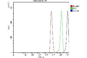 Flow Cytometry analysis of U251 cells using anti-MST3/STK24 antibody (ABIN7599389). (STK24 antibody  (AA 1-433))