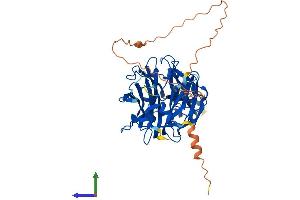 AlphaFold protein structure predicition of Mouse Recombinant Neu4 Protein, UniprotID Q8BZL1
