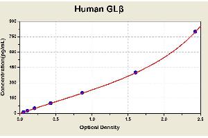 Diagramm of the ELISA kit to detect Human GLbetawith the optical density on the x-axis and the concentration on the y-axis. (GLB1 ELISA Kit)