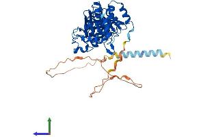 Protein Structure (PS) image for Protein tyrosine Phosphatase, Non-Receptor Type 1 (PTPN1) (AA 1-435) protein (His tag) (ABIN7551058)