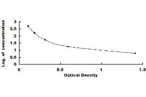 Typical standard curve (MSMB ELISA Kit)