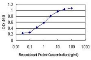Detection limit for recombinant GST tagged ARRB2 is approximately 0. (Arrestin 3 antibody  (AA 300-409))