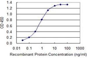 Detection limit for recombinant GST tagged SLC7A1 is 0. (SLC7A1 antibody  (AA 431-492))