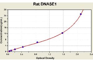 Diagramm of the ELISA kit to detect Rat DNASE1with the optical density on the x-axis and the concentration on the y-axis. (DNASE1 ELISA Kit)