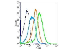 CD28 antibody  (AA 1-120)