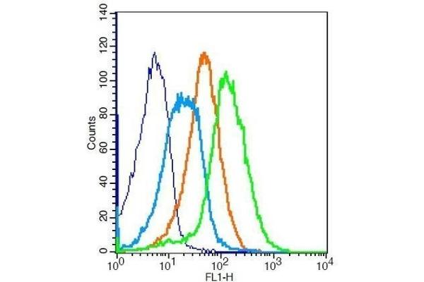 CD28 antibody  (AA 1-120)