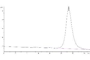 The purity of Mouse IL-17RB is greater than 95 % as determined by SEC-HPLC. (IL17 Receptor B Protein (AA 18-286) (His tag))