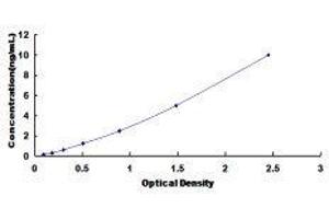 Maternal Embryonic Leucine Zipper Kinase (MELK) ELISA Kit